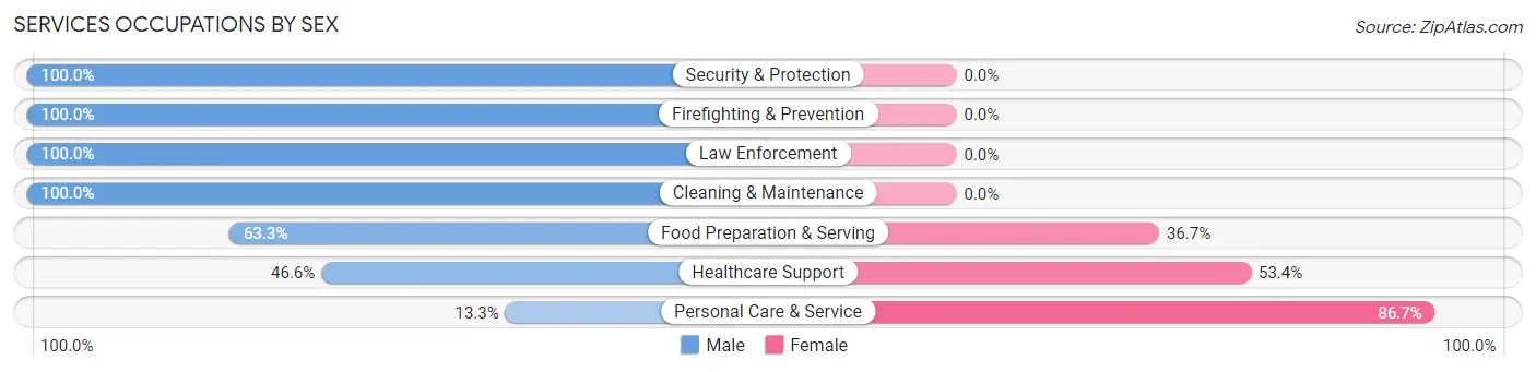 Services Occupations by Sex in Zip Code 02762