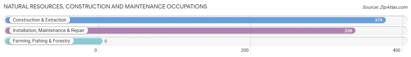 Natural Resources, Construction and Maintenance Occupations in Zip Code 02771