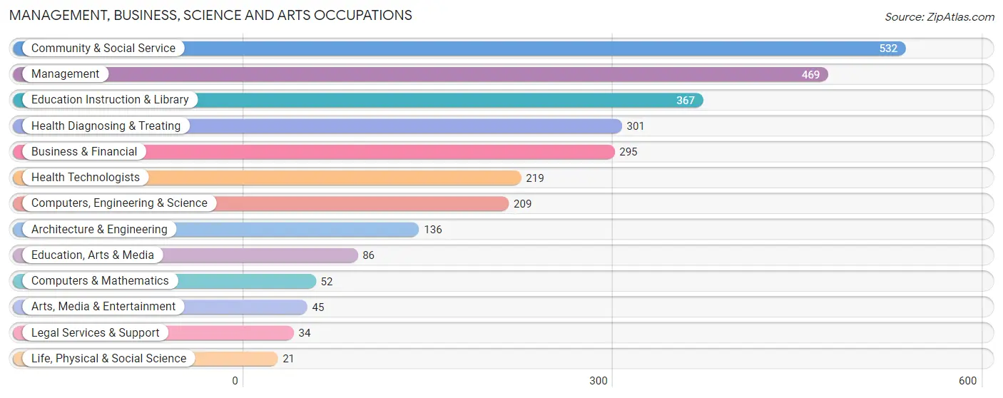 Management, Business, Science and Arts Occupations in Zip Code 02813