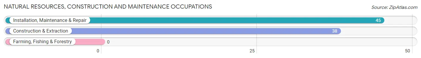 Natural Resources, Construction and Maintenance Occupations in Zip Code 02839