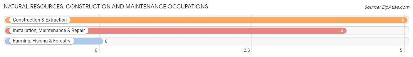 Natural Resources, Construction and Maintenance Occupations in Zip Code 02841