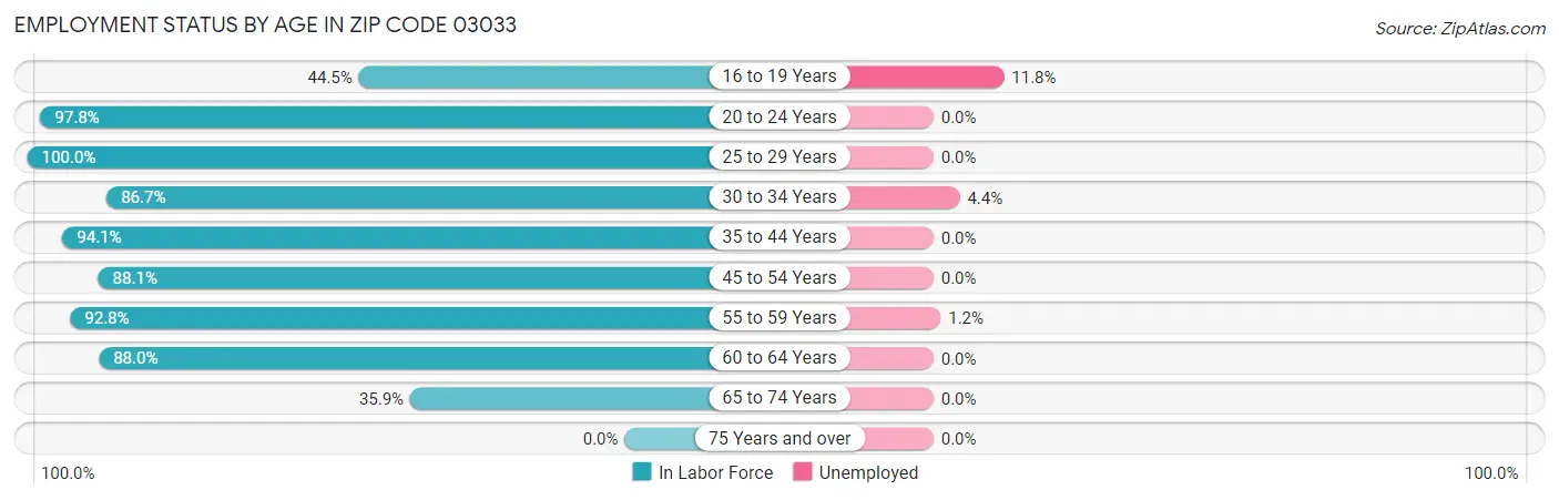 Employment Status by Age in Zip Code 03033