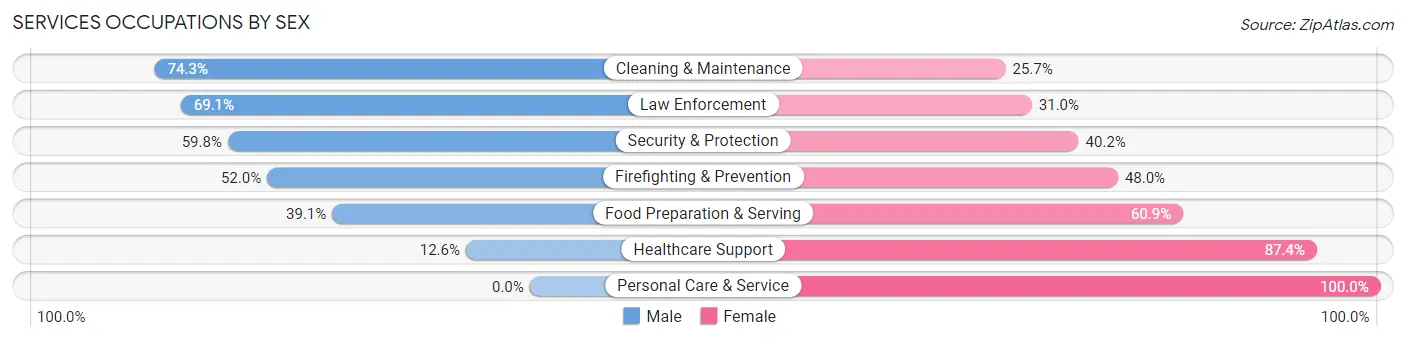 Services Occupations by Sex in Zip Code 03055