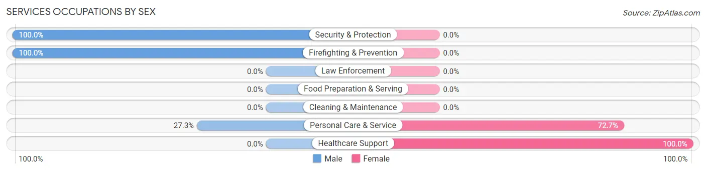 Services Occupations by Sex in Zip Code 03215