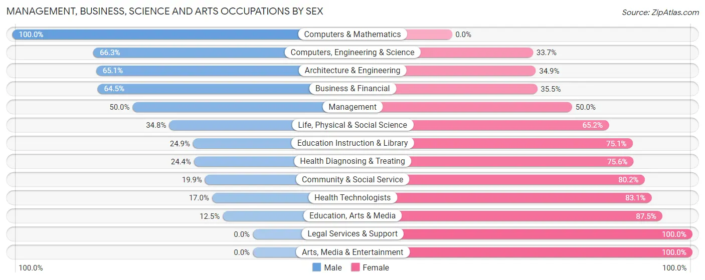 Management, Business, Science and Arts Occupations by Sex in Zip Code 03225