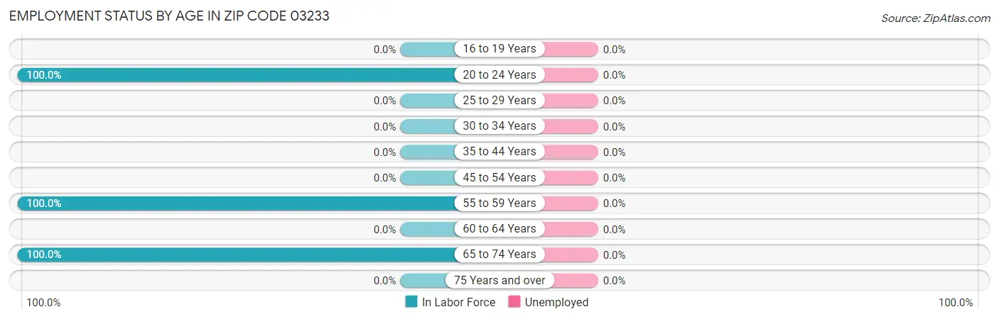 Employment Status by Age in Zip Code 03233