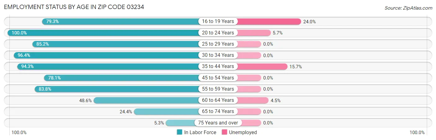 Employment Status by Age in Zip Code 03234