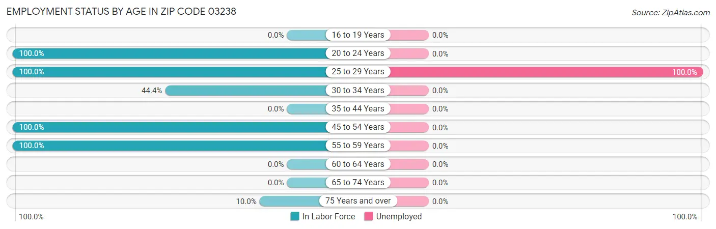 Employment Status by Age in Zip Code 03238