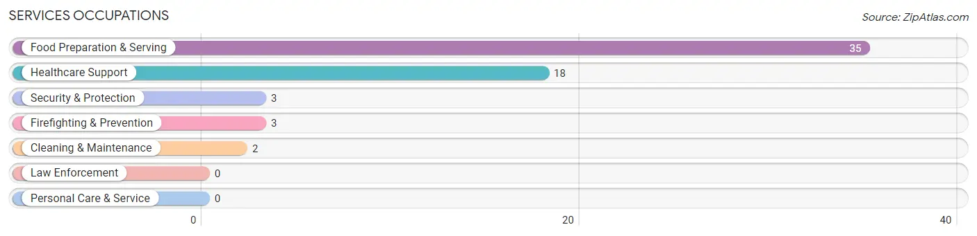 Services Occupations in Zip Code 03456