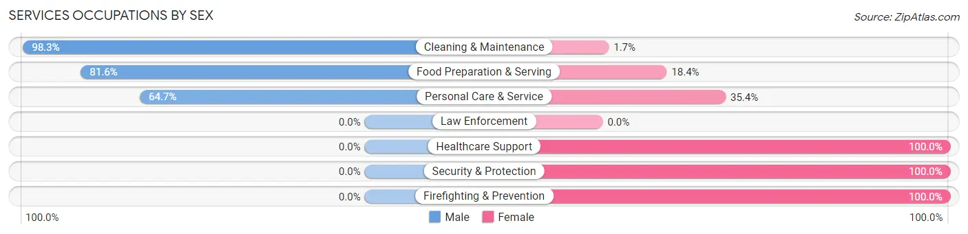 Services Occupations by Sex in Zip Code 03458