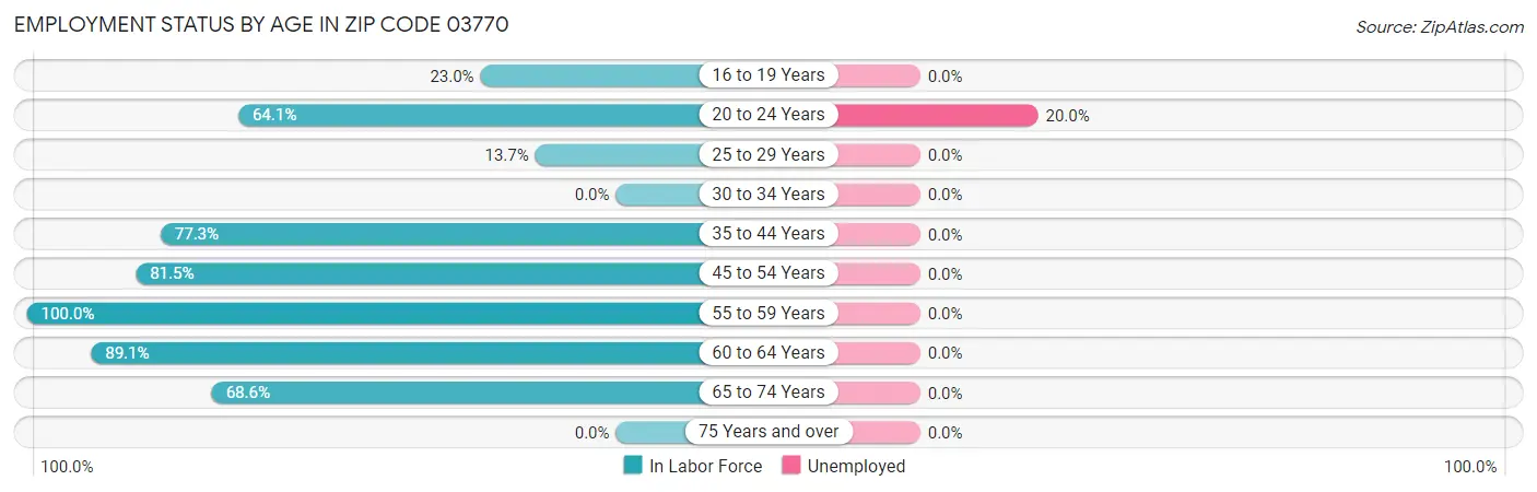 Employment Status by Age in Zip Code 03770