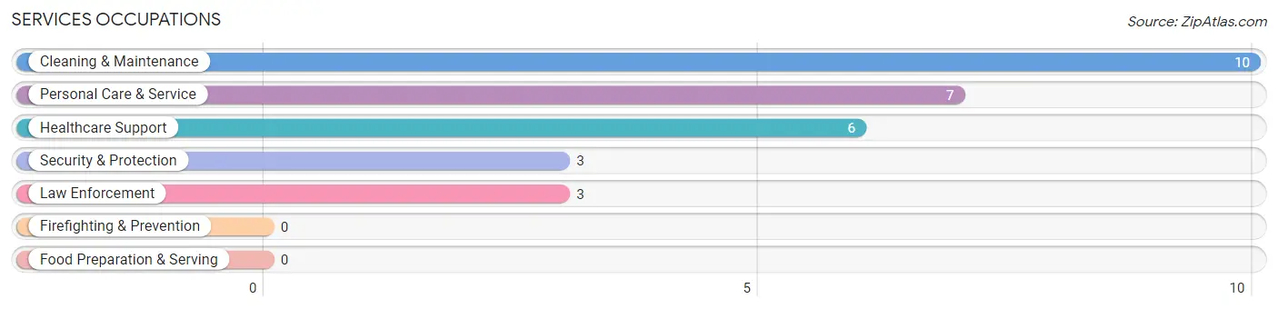 Services Occupations in Zip Code 03770