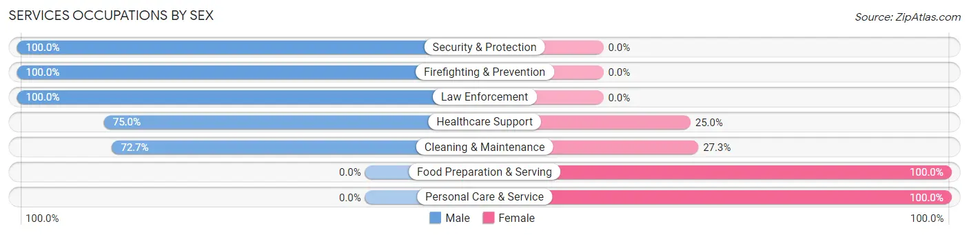 Services Occupations by Sex in Zip Code 03823