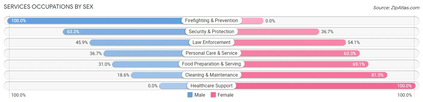 Services Occupations by Sex in Zip Code 03835