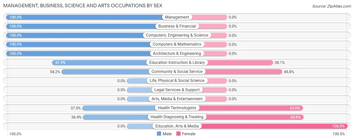 Management, Business, Science and Arts Occupations by Sex in Zip Code 03837