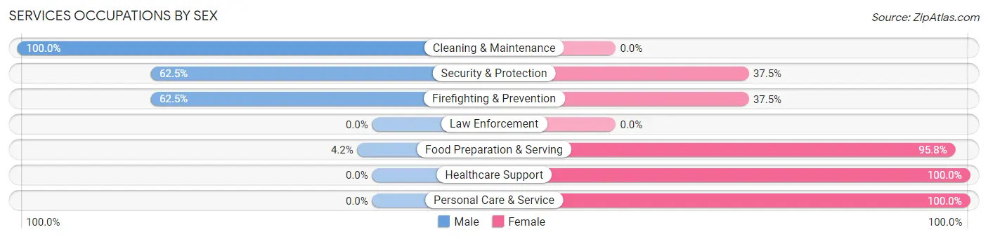 Services Occupations by Sex in Zip Code 03837