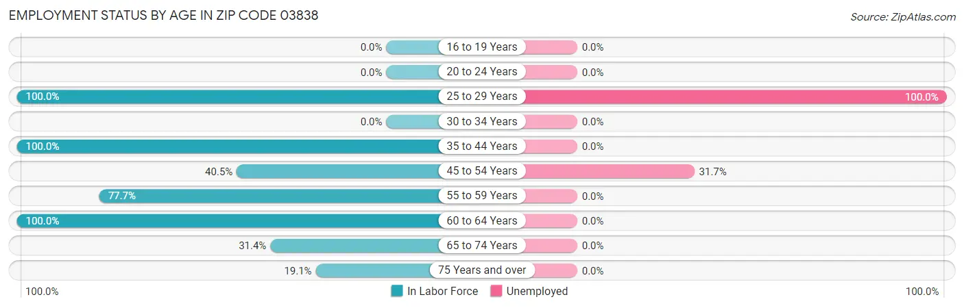 Employment Status by Age in Zip Code 03838