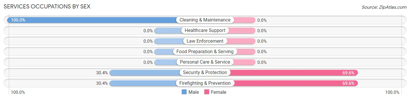 Services Occupations by Sex in Zip Code 03838