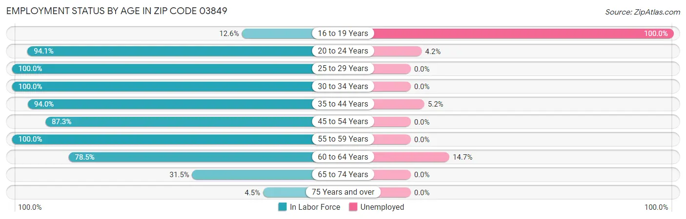 Employment Status by Age in Zip Code 03849