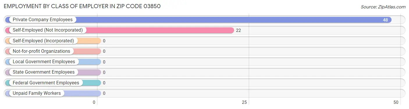 Employment by Class of Employer in Zip Code 03850