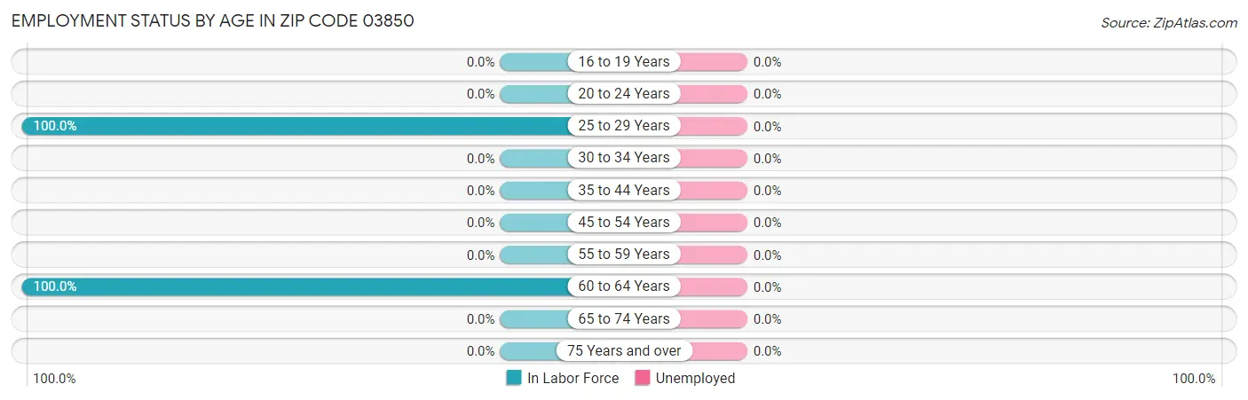 Employment Status by Age in Zip Code 03850