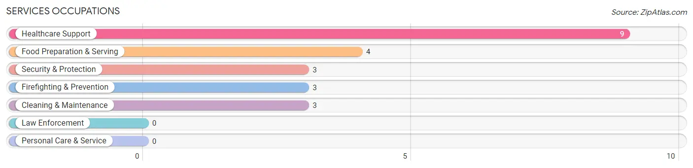 Services Occupations in Zip Code 03854