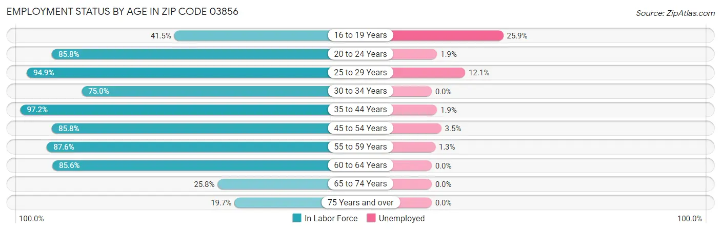 Employment Status by Age in Zip Code 03856