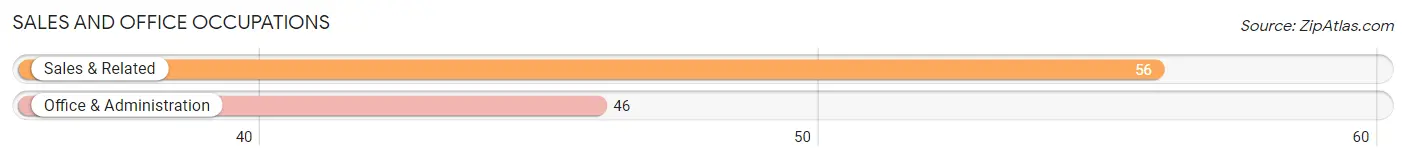 Sales and Office Occupations in Zip Code 03864