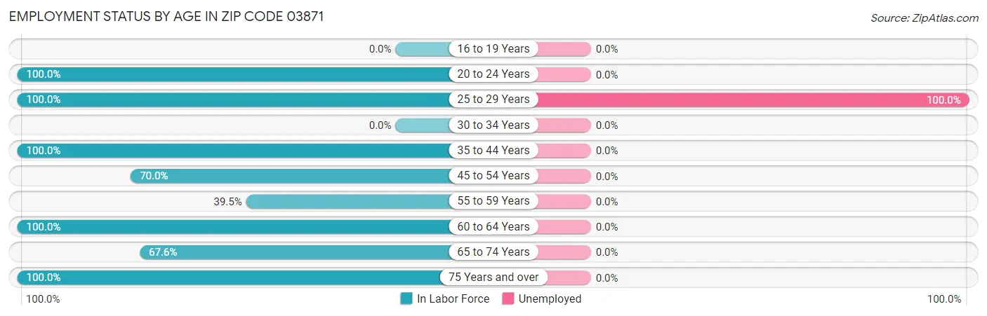 Employment Status by Age in Zip Code 03871