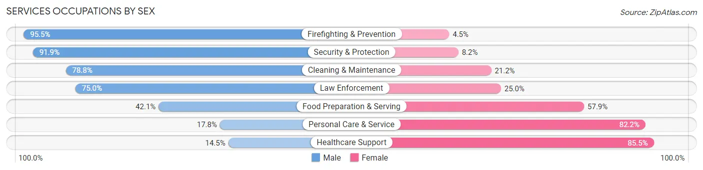 Services Occupations by Sex in Zip Code 03874