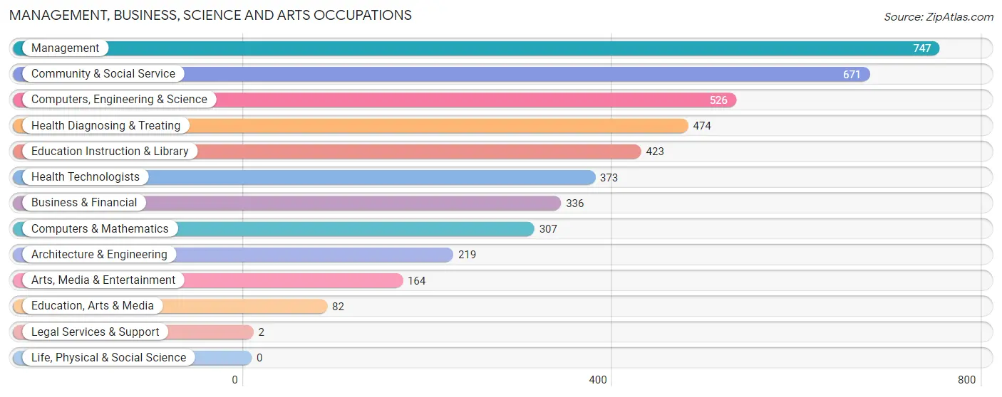 Management, Business, Science and Arts Occupations in Zip Code 03878