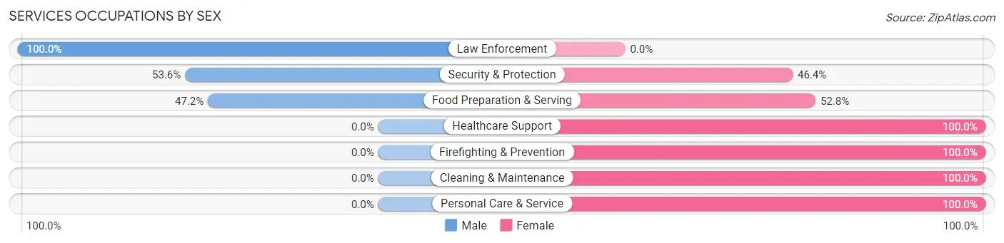 Services Occupations by Sex in Zip Code 03885
