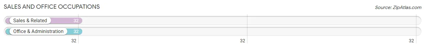 Sales and Office Occupations in Zip Code 03907