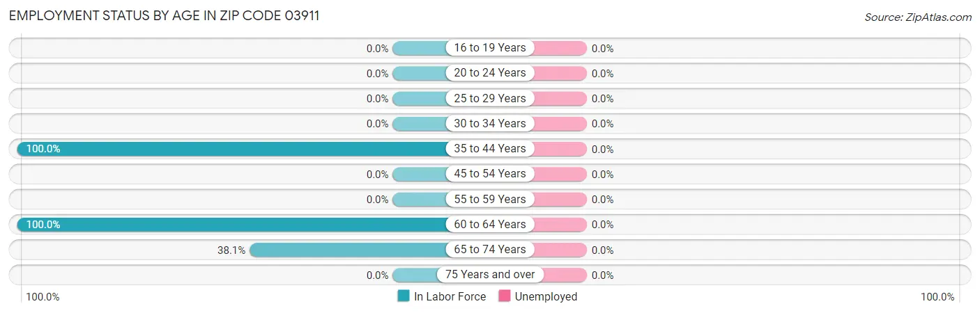 Employment Status by Age in Zip Code 03911