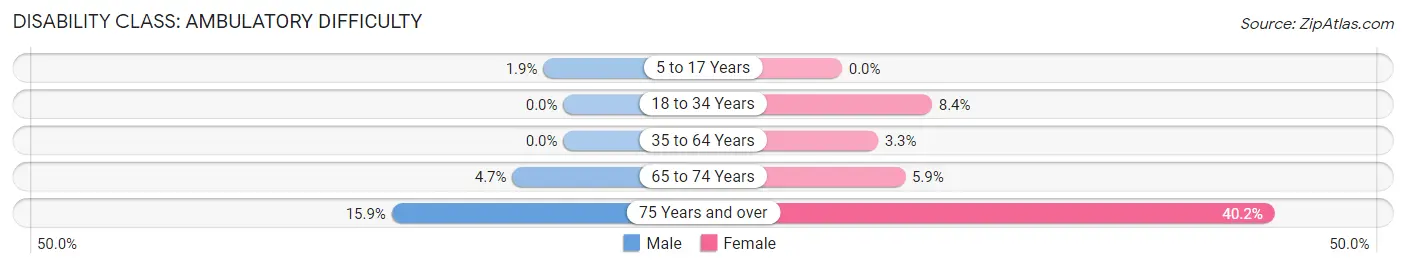 Disability in Zip Code 04021: <span>Ambulatory Difficulty</span>