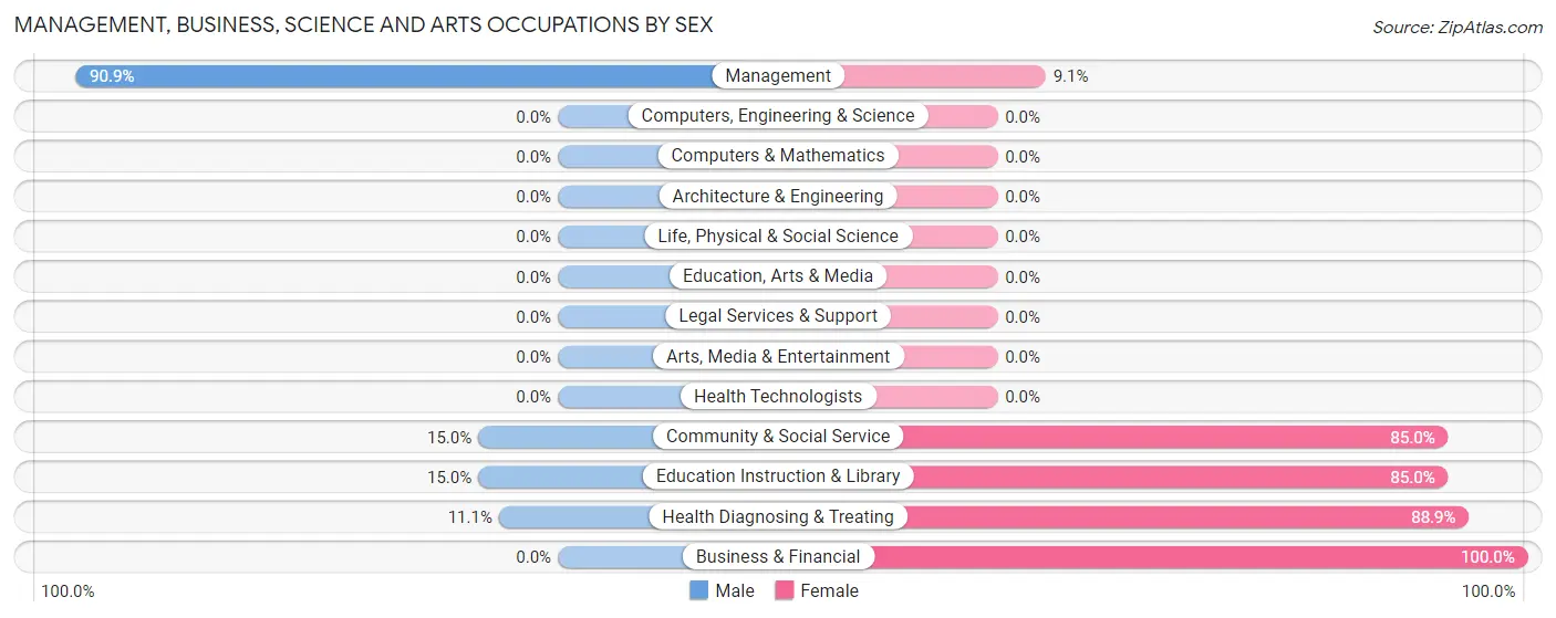 Management, Business, Science and Arts Occupations by Sex in Zip Code 04024