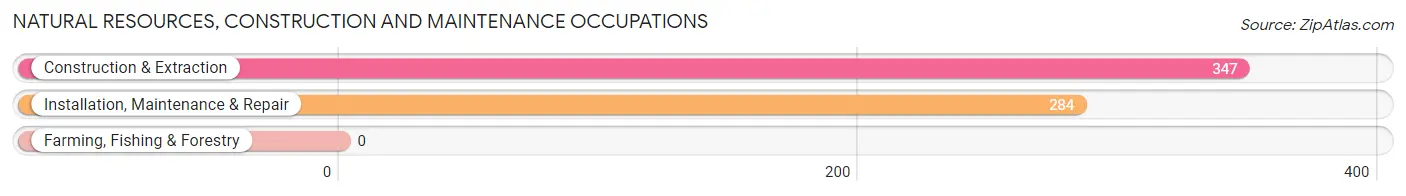 Natural Resources, Construction and Maintenance Occupations in Zip Code 04027