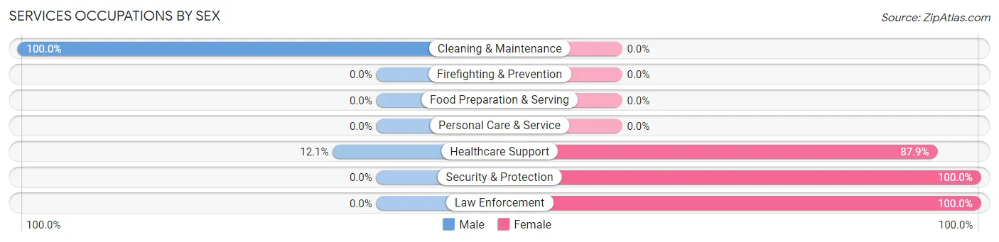 Services Occupations by Sex in Zip Code 04030