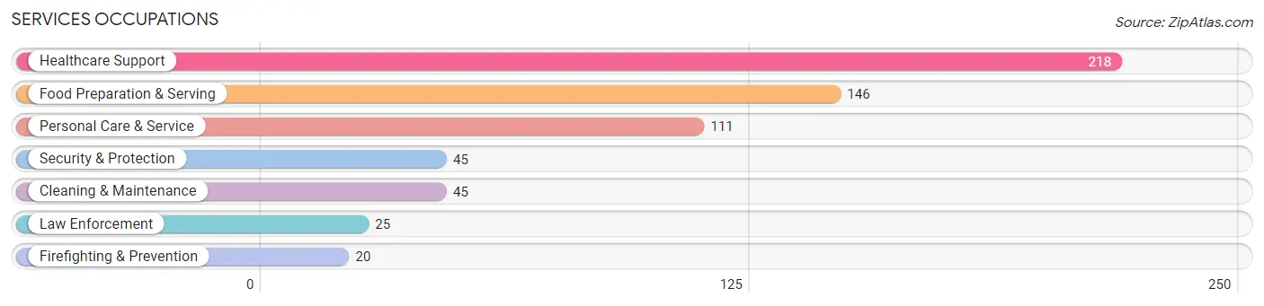 Services Occupations in Zip Code 04043