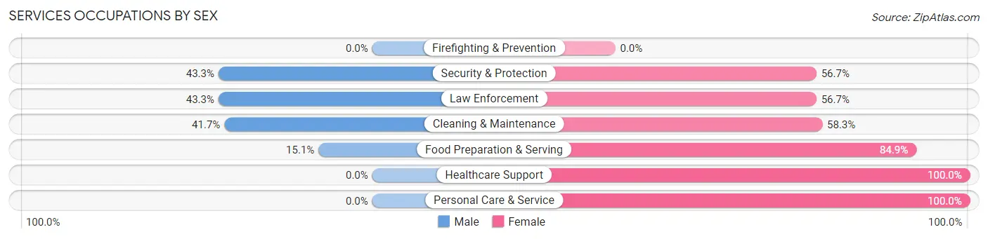 Services Occupations by Sex in Zip Code 04046