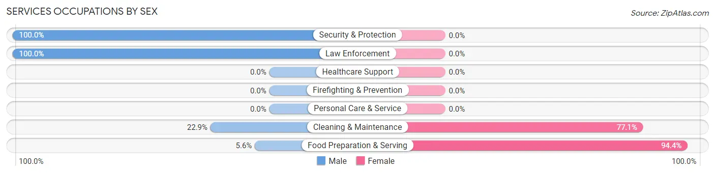 Services Occupations by Sex in Zip Code 04055