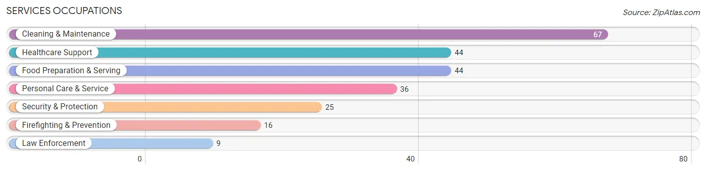 Services Occupations in Zip Code 04079