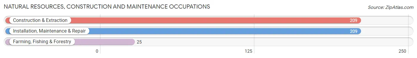 Natural Resources, Construction and Maintenance Occupations in Zip Code 04084