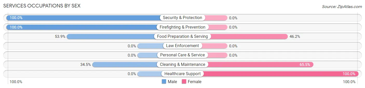 Services Occupations by Sex in Zip Code 04088