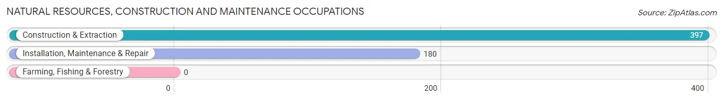 Natural Resources, Construction and Maintenance Occupations in Zip Code 04090