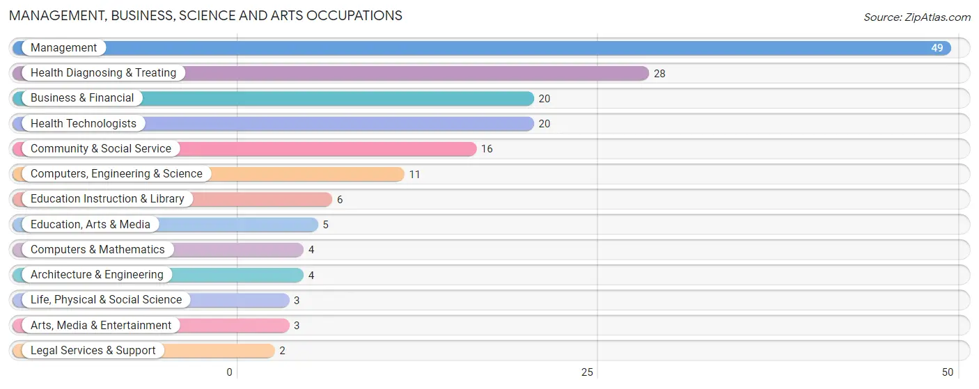 Management, Business, Science and Arts Occupations in Zip Code 04091