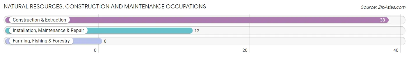 Natural Resources, Construction and Maintenance Occupations in Zip Code 04091