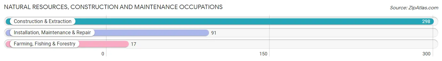 Natural Resources, Construction and Maintenance Occupations in Zip Code 04101