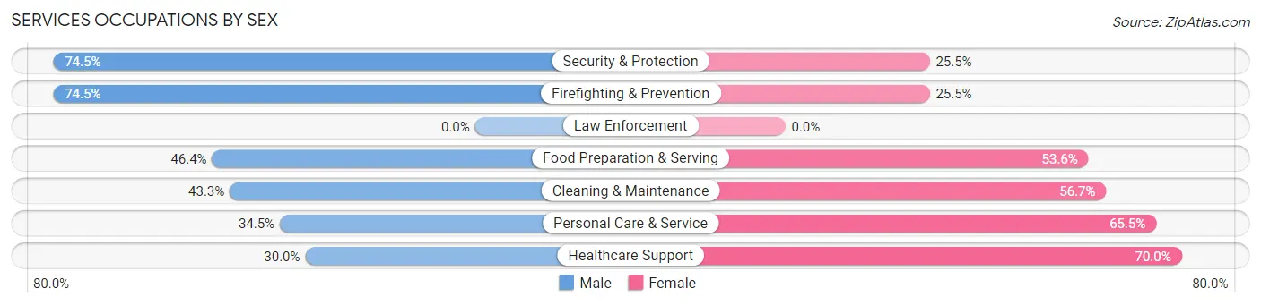 Services Occupations by Sex in Zip Code 04102
