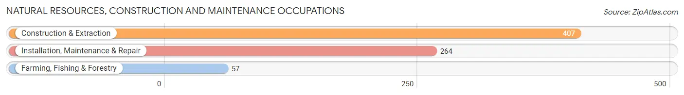 Natural Resources, Construction and Maintenance Occupations in Zip Code 04103